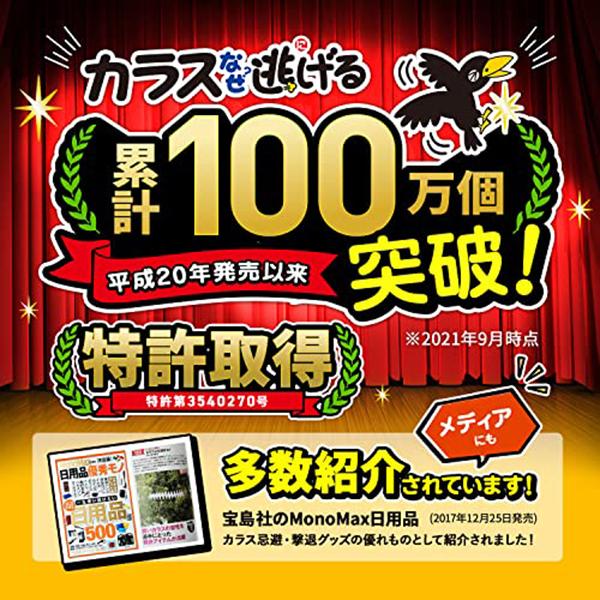 カラス 撃退 カラス対策 カラスよけ カラスなぜ逃げる? ニューどこでも  