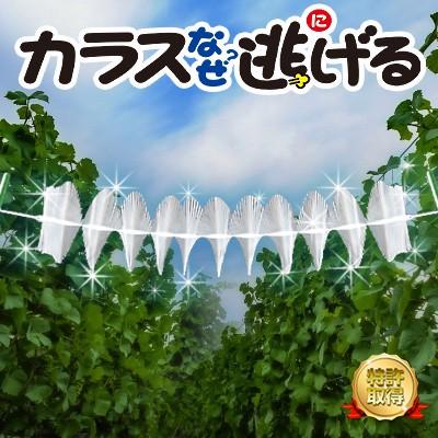カラス撃退 カラスなぜ逃げる? 標準タイプ◎お得な5個セット カラス