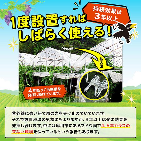 カラス撃退 カラスなぜ逃げる? 標準タイプ◎お得な5個セット カラス