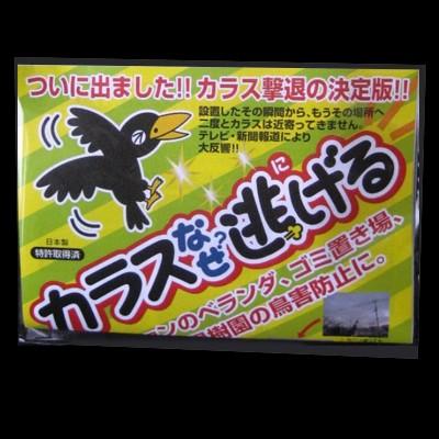 カラス撃退 カラスなぜ逃げる? 標準タイプ◎お得な10個セット カラス 