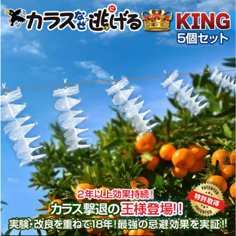 カラスよけ カラスなぜ逃げる？KING5個セット 撃退率95％以上 カラス