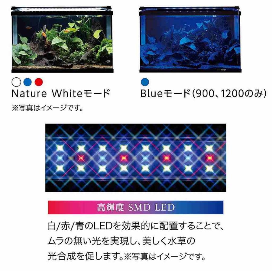 送料無料 コトブキ ニューフラットled Ss 900ブラック Flatledss900b ヤマゲンペットyahoo 店 通販 Yahoo ショッピング