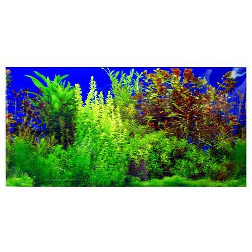 コトブキ フォトスクリーン90 水草 K 103 K 103 ヤマゲンペットyahoo 店 通販 Yahoo ショッピング