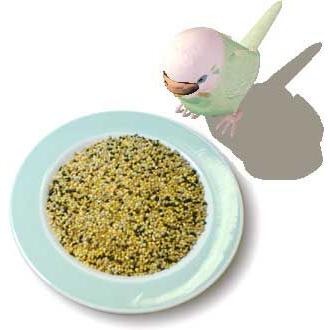 カナリヤムキエサ 10kg : ヤマゲンペットYahoo!店 - 通販 - Yahoo
