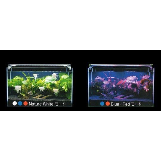 コトブキアウトレット】LEDスリム3040 ブラック(30〜40cm水槽用