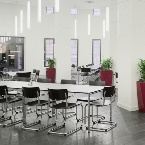 THONET カンチレバーチェア no.S43 ナチュラル(受注品) : YAMAGIWA