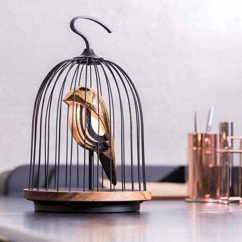 アウトレット DAQICONCEPT(ダキコンセプト)LED照明＆ワイヤレス