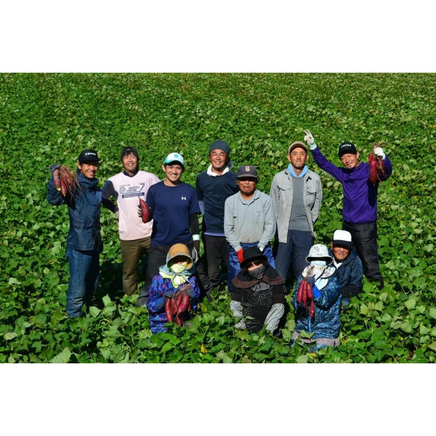紅はるか 徳用無選別干し芋500ｇ入り |  | 04