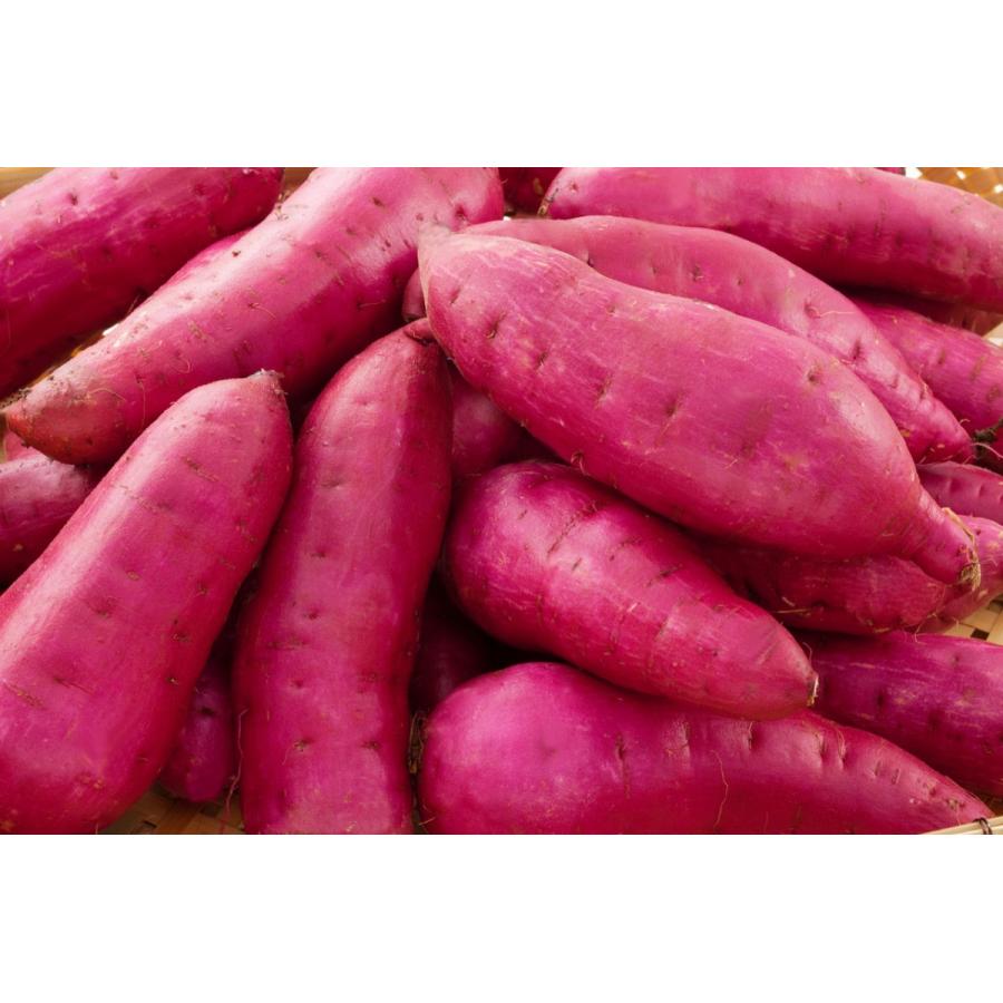 とろっとろ丸干し・陽菜太500ｇ　冬季限定品　 |  | 02