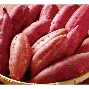 プレミアム干し芋・陽菜子200g　粉ほどほど〜やや多め |  | 02