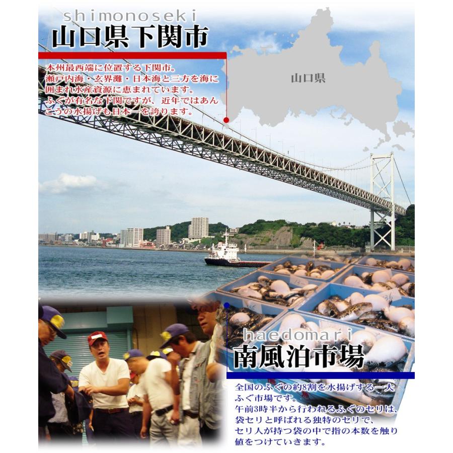 海峡本舗 ふぐ フグ とらふぐ刺身セット 34cm皿 5-6人前 ふぐ刺し 母の