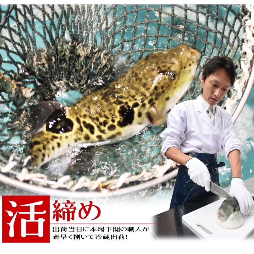 海峡本舗 ふぐ フグ とらふぐ鍋セット 3-4人前 500g もしもツアーズで