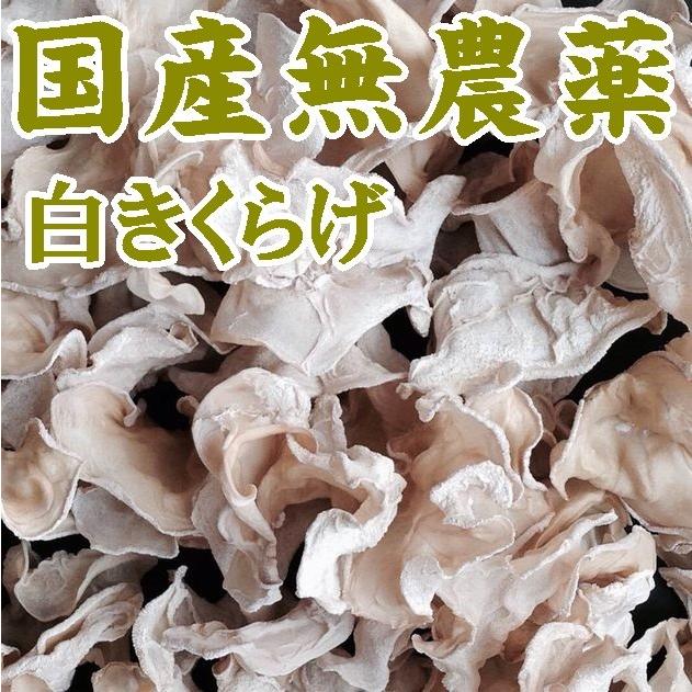 【送料無料】希少　山口県産白きくらげ１００ｇ（乾燥）【国産】【やまぐち開盛堂】※別途送料、東北500円、北海道・沖縄1000円かかります※｜yamaguchikaiseidou