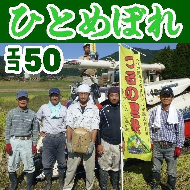 山口県】【周南市八代】【エコ50認証米】【減農薬栽培】【生産者直詰