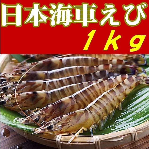 送料無料】【日本海車えび】【山口県】【長門市油谷】【楊貴妃伝説の里