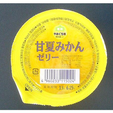 山口県】【山口市仁保】【日本果実工業】正直山口 甘夏みかんゼリー