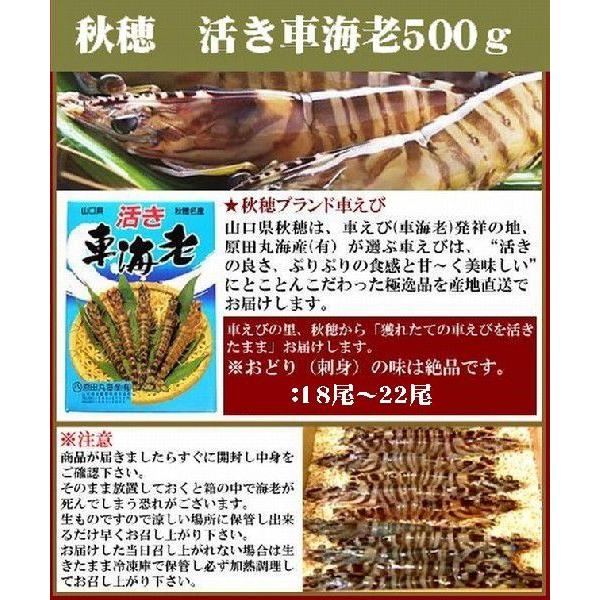 送料無料】【山口県】【山口市秋穂】【創業明治26年】【原田丸海産