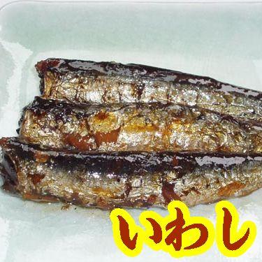 大島食品】【学校給食】国内産いわし甘露煮 40尾(10002250