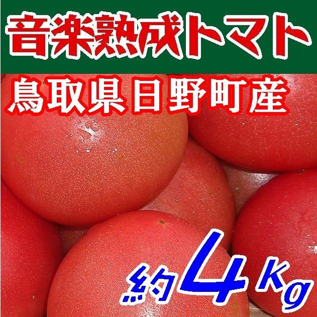 【９月下旬発送予定】【送料無料】音楽熟成モーツァルト・トマト4ｋｇ【鳥取県】【日野郡日南町】【日南トマト】※北海道・沖縄・離島は送れません※｜yamaguchikaiseidou