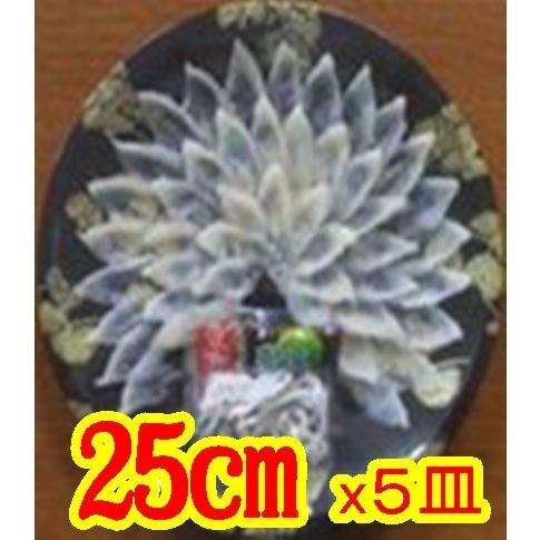 現代日本料理大系 素材百珍 全8巻＋煮物と温物 常陽 全5巻