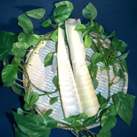 タケノコ 10キロ mayumayu 厳選産地の極上たけのこ 約4キロ（12本から24本）鹿児島県 熊本県 福岡