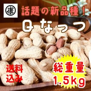 さや煎り落花生 Qなっつ 1.5kg (500g×3袋) 令和7年産 千葉県産 贈答品