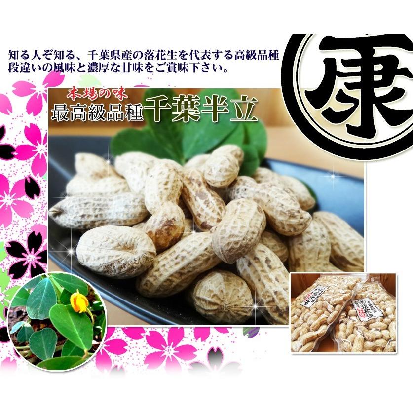 特選 千葉県産 落花生 さや煎り (殻付き) 千葉半立 250g : 落花生とお