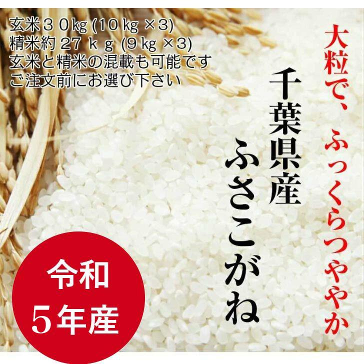 千葉県産ふさこがね（玄米） 【公式通販】