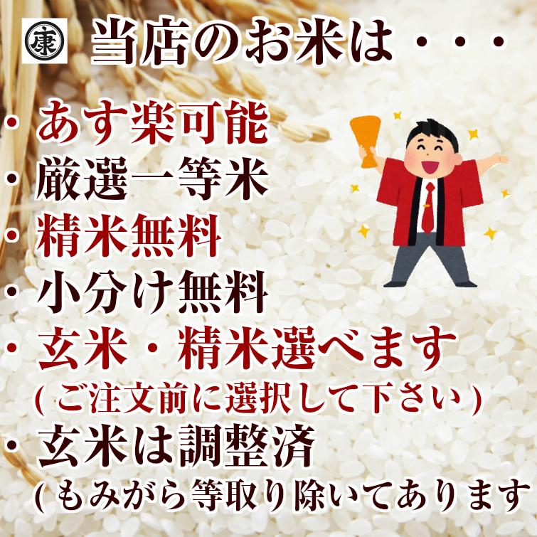 コシヒカリ 令和5年産 新米 千葉県産コシヒカリ 玄米30kg (10kg×3袋 