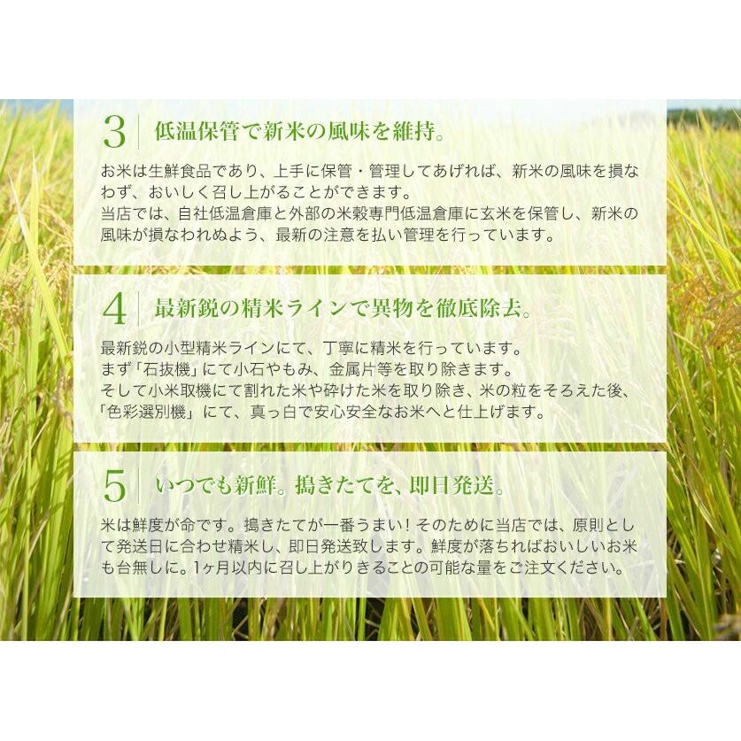 コシヒカリ 令和5年産 新米 千葉県産コシヒカリ 玄米30kg (10kg×3袋 