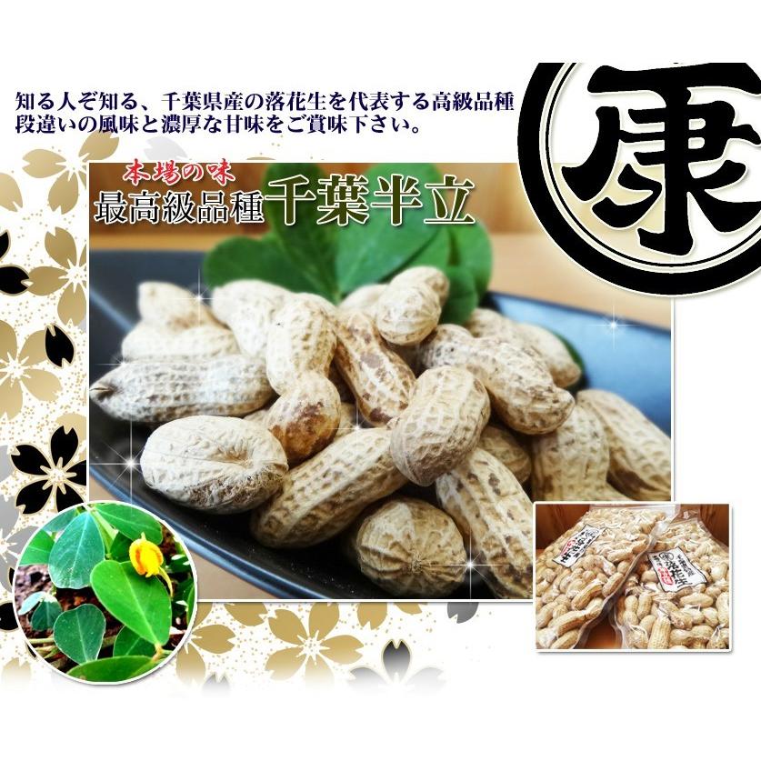 さや煎り落花生 千葉県産 千葉半立 殻付き 500g (250g×2袋) 原料