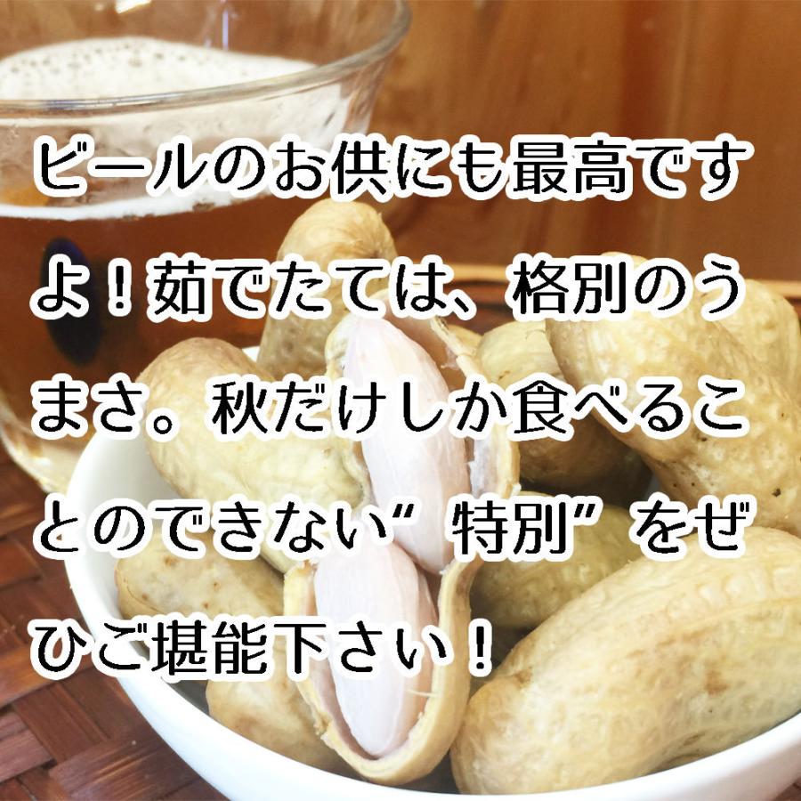 旬の味覚！令和7年産 ゆで落花生用 生落花生千葉県産おおまさり 1kg