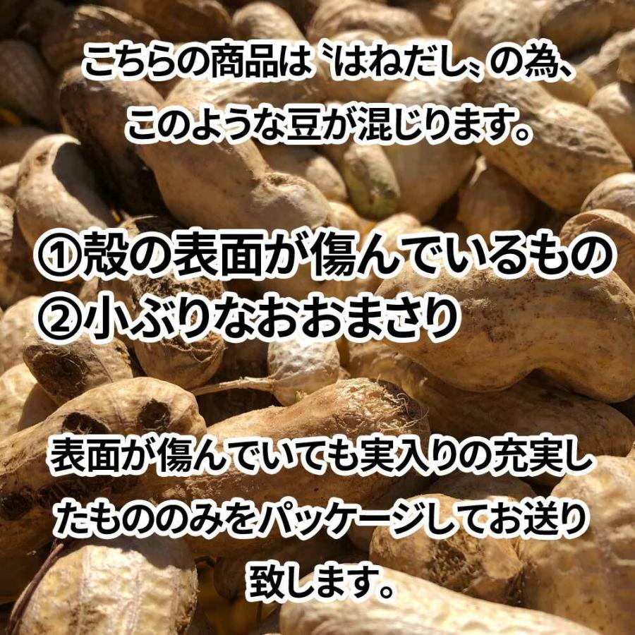 数量限定 はねだし千葉県産生おおまさり3kg ゆで落花生用 わけあり