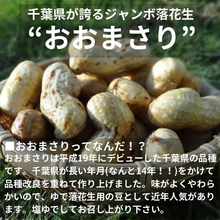 数量限定 はねだし千葉県産生おおまさり3kg ゆで落花生用 わけあり