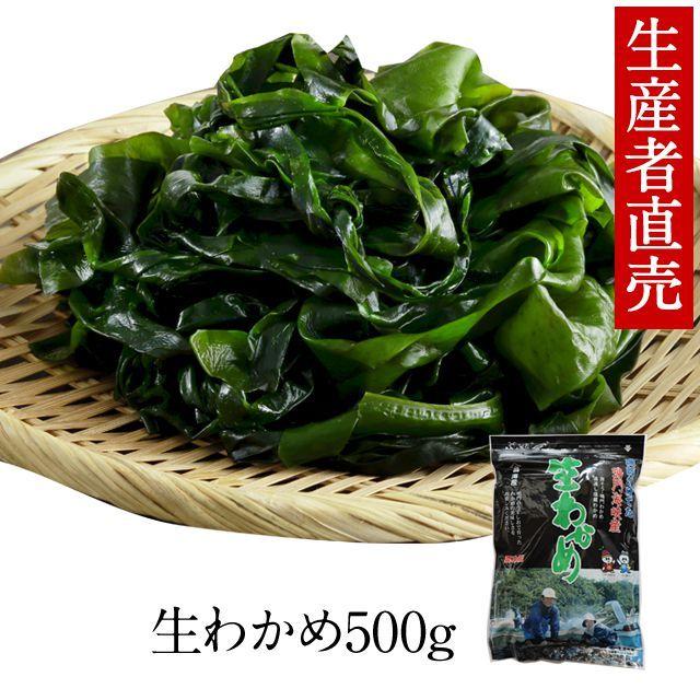 わかめ 生わかめ 国産 500g 鳴門海峡 鳴門わかめ 鳴門 塩わかめ 徳島 生 ワカメ 国産わかめ 塩蔵わかめ 塩蔵ワカメ 海藻 美味しい物 Ko わかめのやまはた山畠海産 通販 Yahoo ショッピング