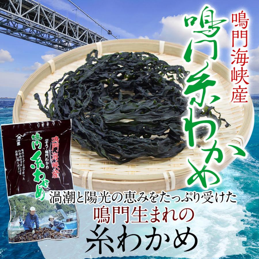 山畠海産 生わかめ わかめ 贈答用 乾燥わかめ 国産 糸わかめ Lサイズ