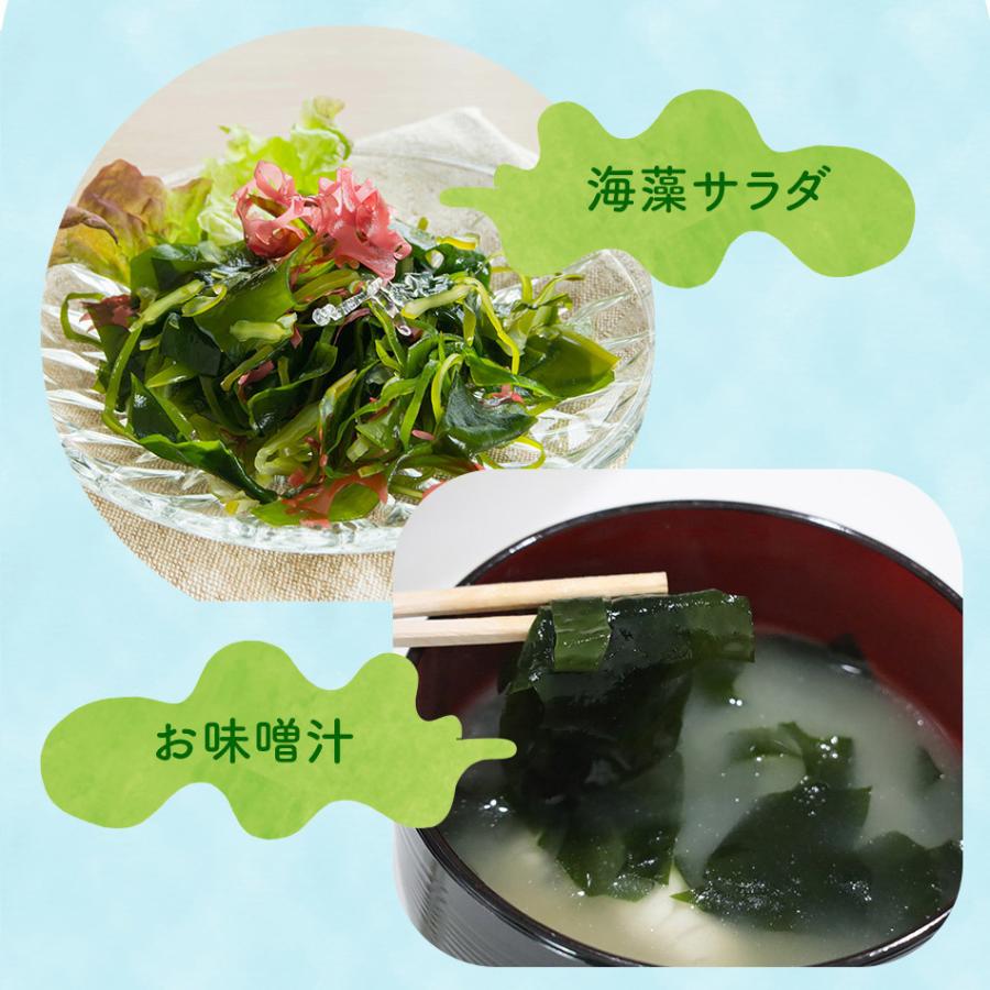 山畠海産 生わかめ 2026年 新わかめ わかめ 生わかめ 鳴門産 国産 500g
