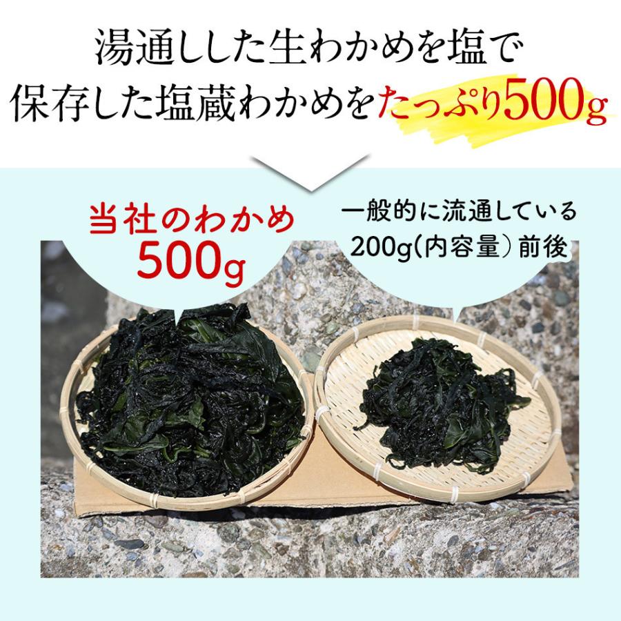 新もの塩蔵ワカメ500g ×21 山畠海産 生わかめ 2026年 新わかめ わかめ 生わかめ 鳴門産 国産 500g