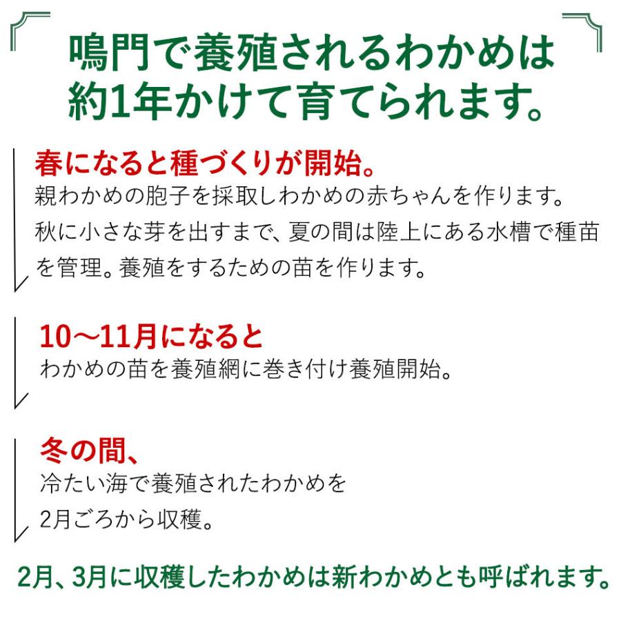 業務用 お得なまとめ買いセット 21年 新わかめ わかめ 生わかめ 鳴門産 国産 500g 5個 Set5 わかめのやまはた山畠海産 通販 Yahoo ショッピング
