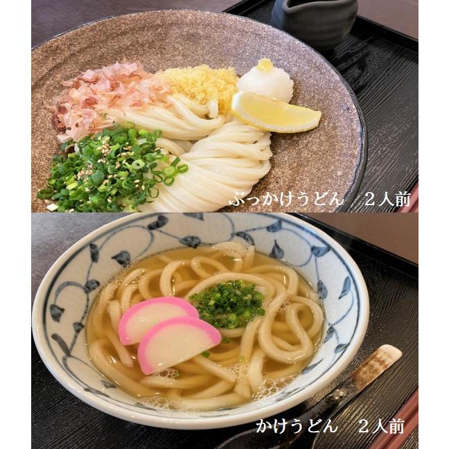 ２種食べ比べ 4人前セット　山石土平　うどん　冷凍生うどん　かけうどん　ぶっかけうどん　讃岐　自家製　お店の味を直送！ | 