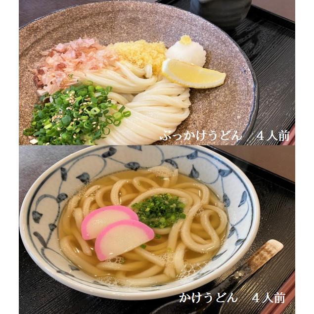 冷凍生うどん 食べ比べ 8人前セット Udon C 008 山石土平 通販 Yahoo ショッピング