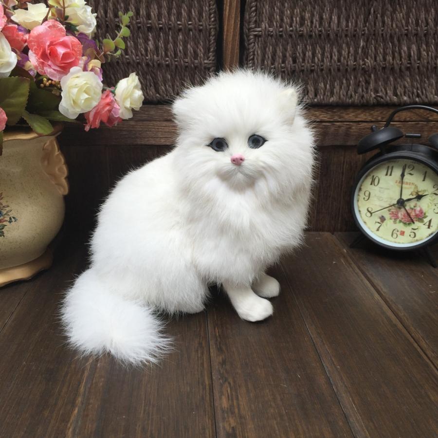 ぬいぐるみ 白 ペルシャ 猫 人形 模擬 かわいい リアル 毛皮 ポメラニアン 写真撮影 小道具 ホームインテリア 玩具 ギフト Nk ヤマカラyahoo 店 通販 Yahoo ショッピング