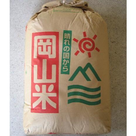 令和7年度岡山県産きぬむすめ100％玄米25kg