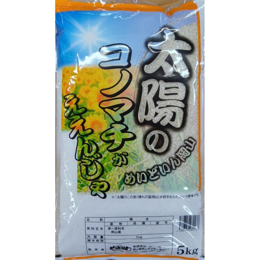 岡山県産 こしひかり 5kg　2袋 コシヒカリ 新米令和6年度産岡山県産こしひかり5kg×2袋 : やま