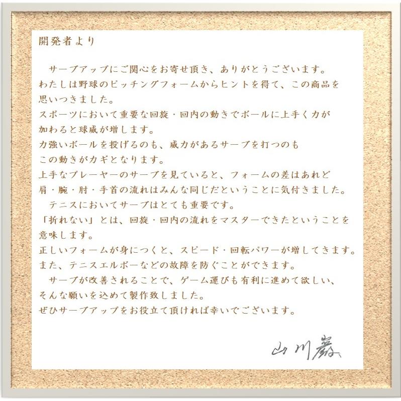 爆買　テニス サーブ練習 練習用具 サーブアップ ポイント消化 上達 練習 室内 一人 トレーニング レベルアップ フォーム 改善 得点力強化 ツール 向上 威力 | Picotino | 03