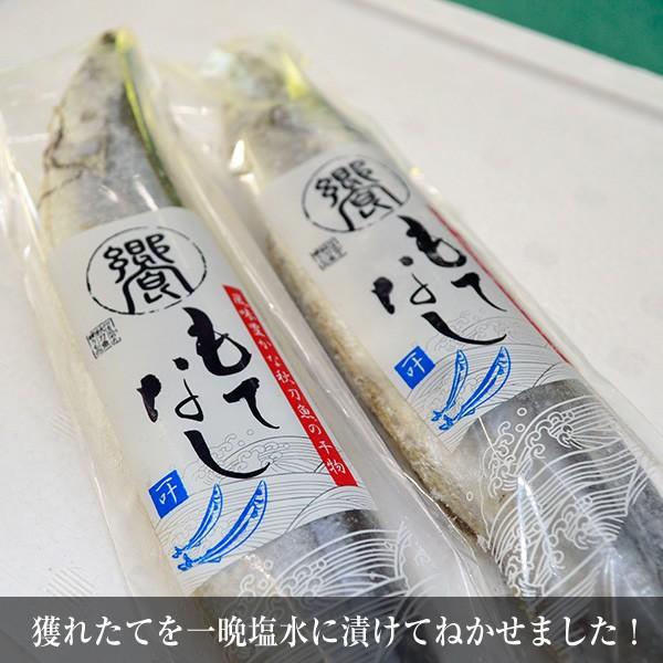 干物 さんま丸干し サンマ丸干し 10尾入り Himaru 村山栄次商店 通販 Yahoo ショッピング