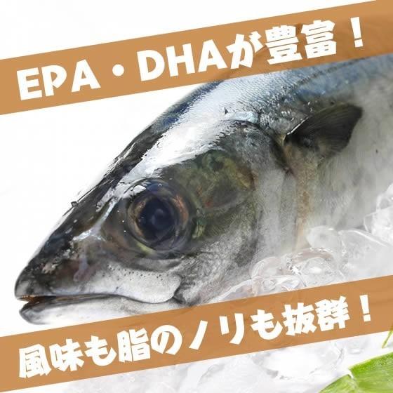 IQF冷凍サバ・冷凍さば 5kg-5尾 （1尾あたり 1kg ~） : 村山栄次商店