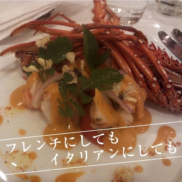 ★奄美産★　活〆冷凍伊勢海老5キロ 活〆冷凍伊勢海老」超特大”5Lサイズ” 1.1kg 1尾入り 海老・伊勢