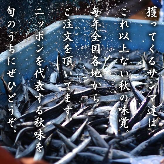 さんま‼️ IQF冷凍サンマ・さんま・秋刀魚 “超特大” 160〜172g 24尾（3.7〜4.0kg