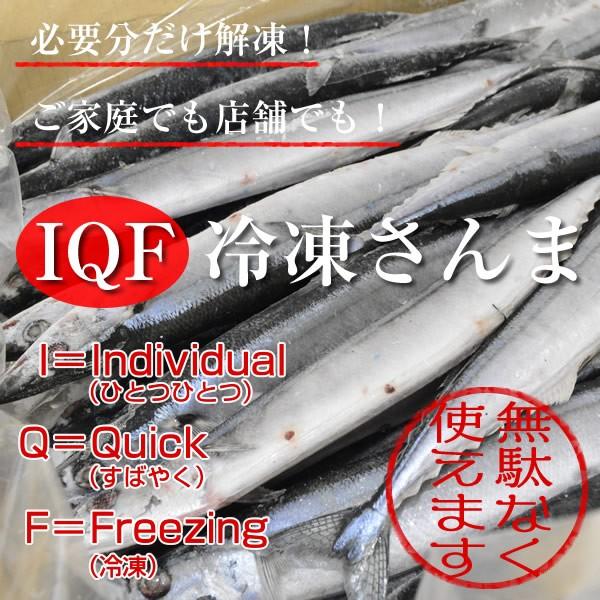 IQF冷凍サンマ・さんま・秋刀魚　“特大”　147〜160ｇ　50尾（7.5kg）